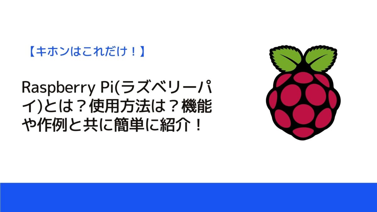 Raspberry Pi(ラズベリーパイ)とは？使用方法は？機能や作例と共に簡単に紹介！