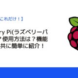 Raspberry Pi(ラズベリーパイ)とは？使用方法は？機能や作例と共に簡単に紹介！