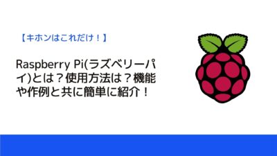 Raspberry Pi(ラズベリーパイ)とは？使用方法は？機能や作例と共に簡単に紹介！